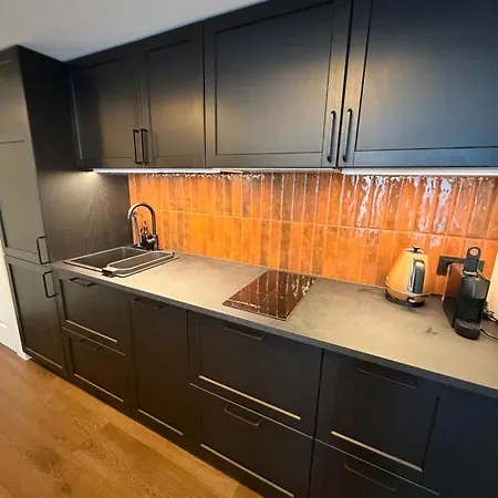 Dramos Premium Loft With Terrace & Free Parking Apartament Kowno